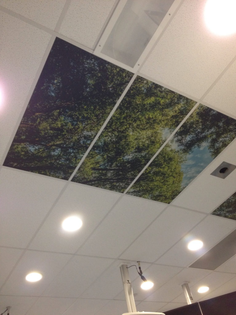 Ceiling hospital lightboxes