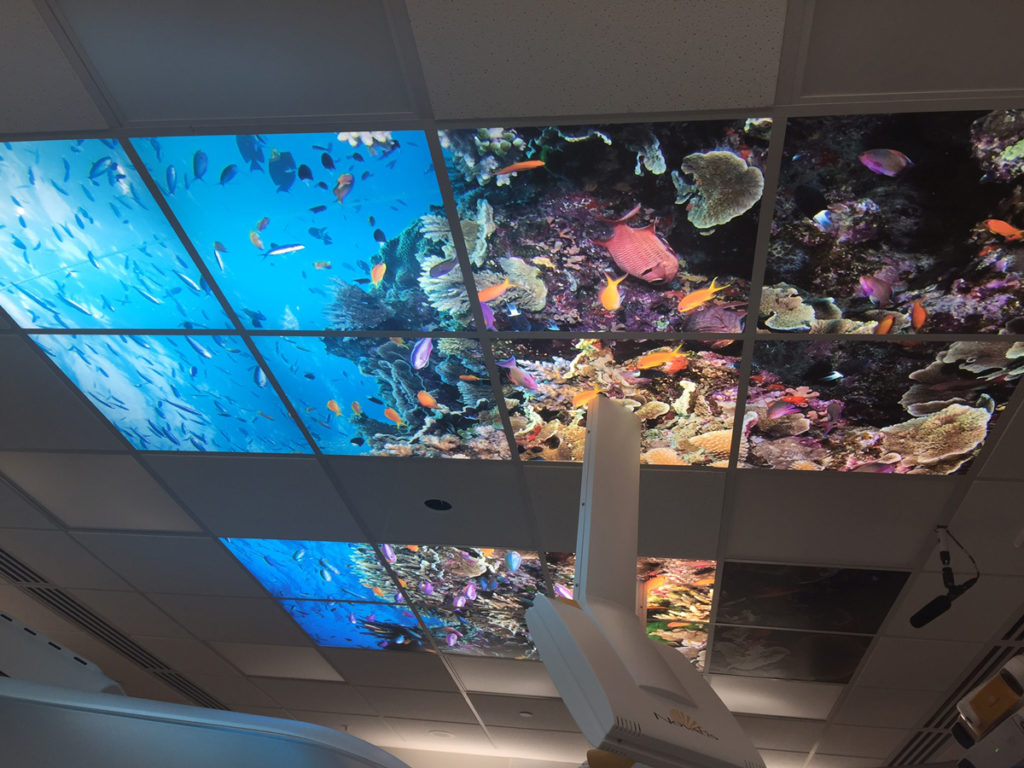Ceiling hospital lightboxes